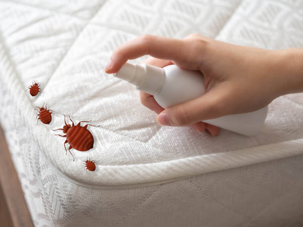 Flea Control Services in Council Grove, KS