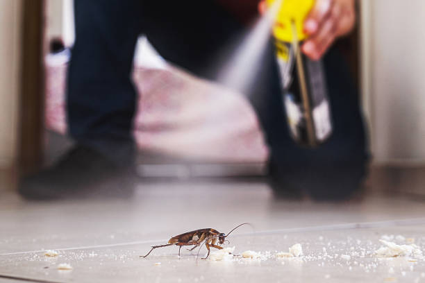 Council Grove, KS Pest Control Company