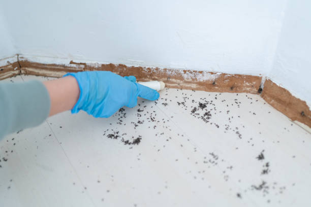 Best Best Pest Control Companies  in Council Grove, KS