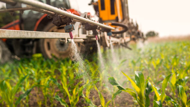 Best Commercial Pest Control Services  in Council Grove, KS