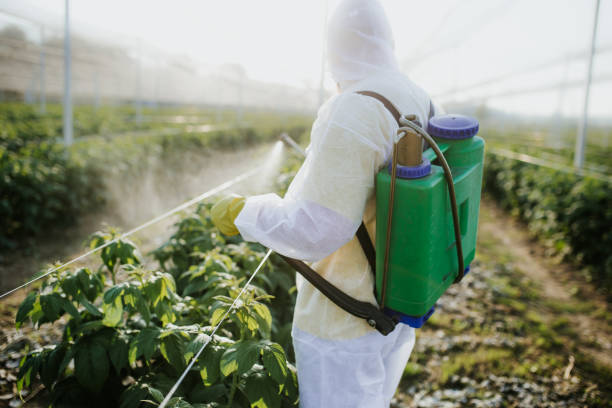 Best Affordable Pest Control Services  in Council Grove, KS